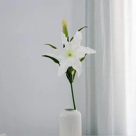 Apartment Homeabout Juan De Austria